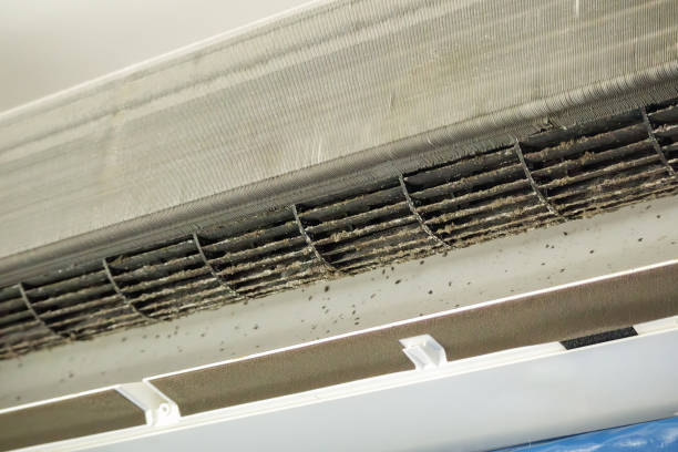 Best Residential Air Duct Cleaning  in South Creek, WA